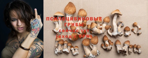 spice Михайловск
