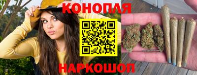 сатива Жуковский